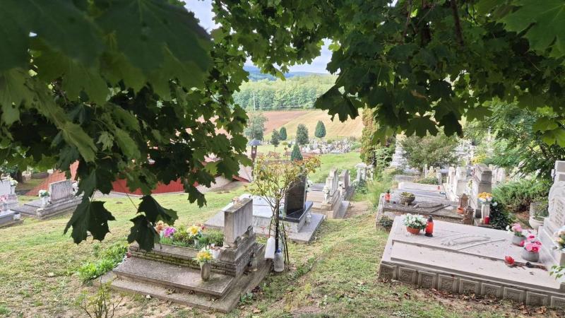 Halottak napján a csend és a tisztelet légkörében emlékezünk meg szeretteinkről. A gyertyák lángja lágy fényével világítja meg az utat, miközben a gondolataink és emlékeink összefonódnak a múlttal. Az elvonulás során a szívünkben hordozzuk a múltat, és a 