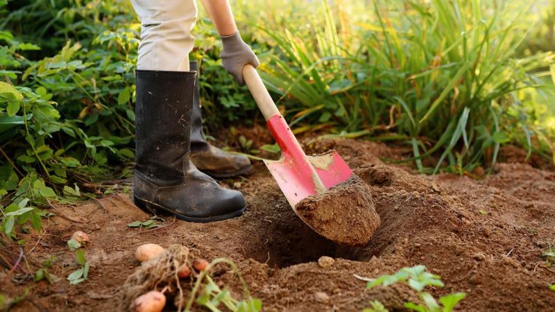 Készülj fel az őszi vetésre, hogy tavasszal egy igazán varázslatos kertet varázsolhass! Az alábbi tippek segítenek abban, hogy a következő évadban is lenyűgöző látványt nyújtson a növényzeted.
