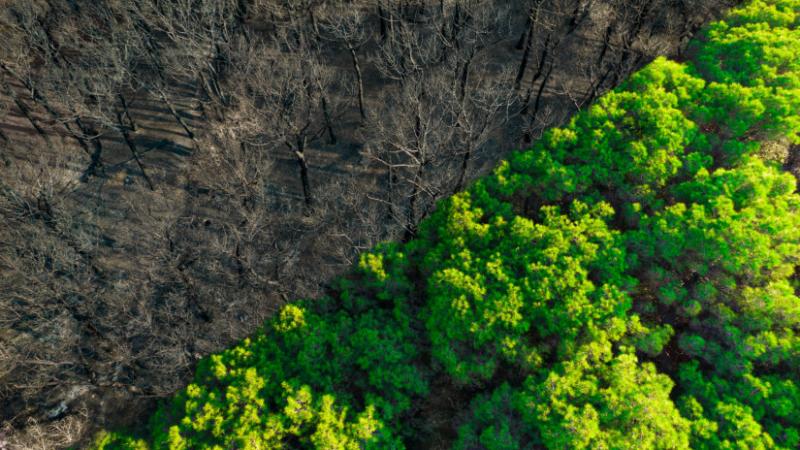 A széles körben érintő szabályozás bevezetését elhalasztották: mostantól itt az új időpont - Agrárszektor