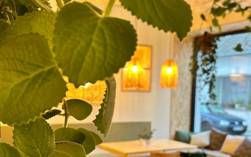 November 17-én nem a főzés kerül a középpontba, hanem a szabadság emléke éled újjá.