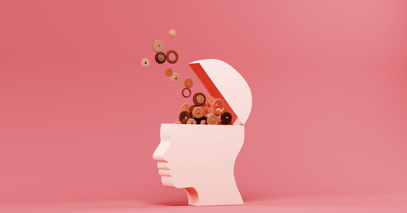 Az agyunk ebben az életkorban mutatja a legjobb teljesítményét, ami később következik be, mint azt korábban feltételeztük.