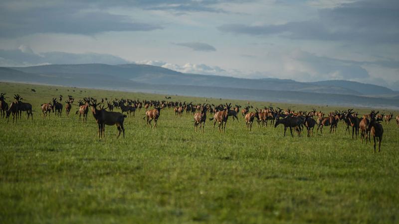 Kisrepülőgép balesete történt Kenyában, amely tele volt magyar turistákkal.